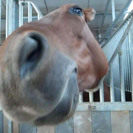 Le Moulin De Fernelmont 3*