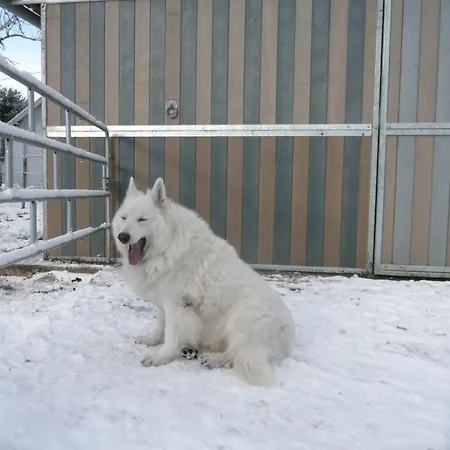 Le Moulin De Fernelmont Couette-café 3*