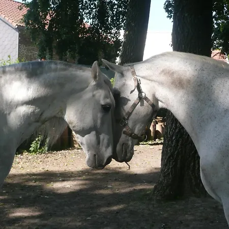 Le Moulin De Fernelmont B&B 3*