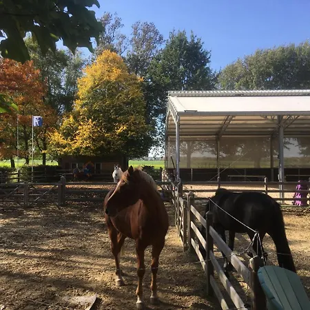 Le Moulin De Fernelmont B&B