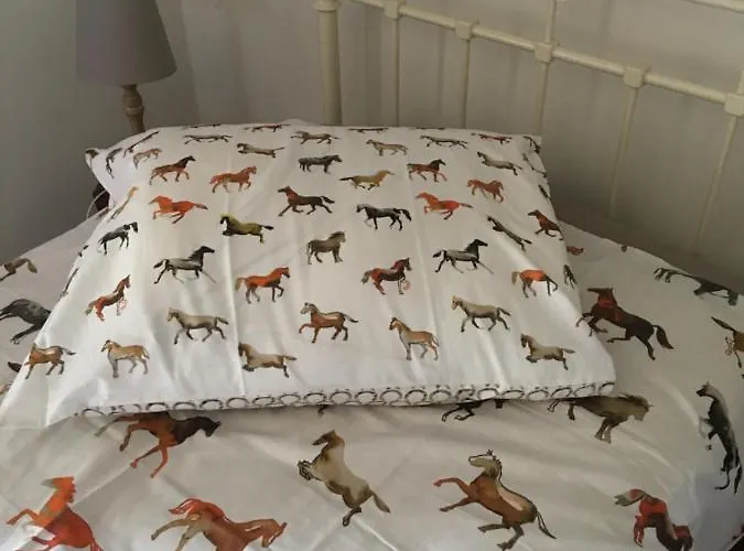 Bed & Breakfast Le Moulin De Fernelmont Forville