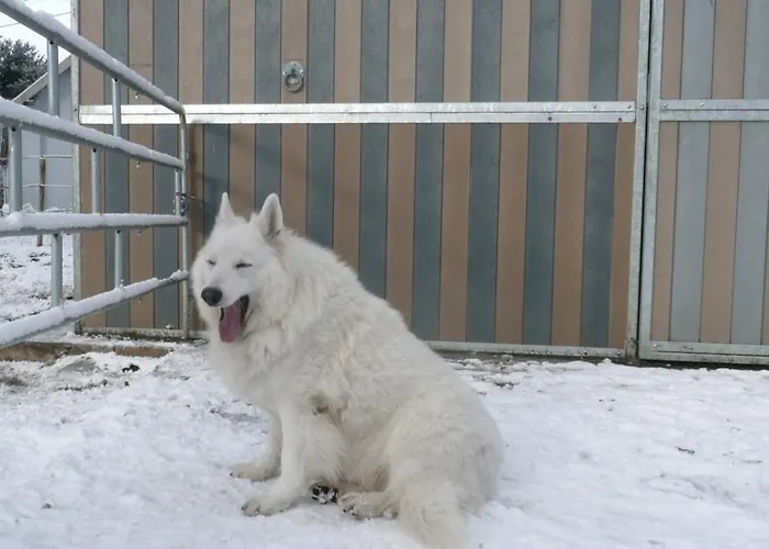 Le Moulin De Fernelmont Bed & Breakfast 3*