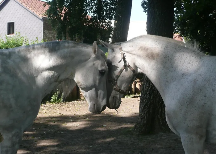 Le Moulin De Fernelmont Bed & Breakfast 3*