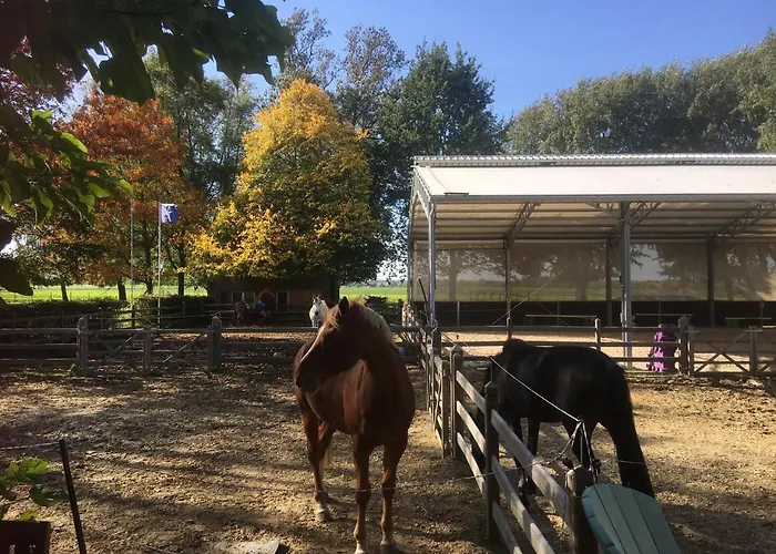 Le Moulin De Fernelmont Bed & Breakfast